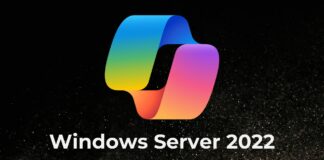 Copilot automatically installs on Windows Server 2022