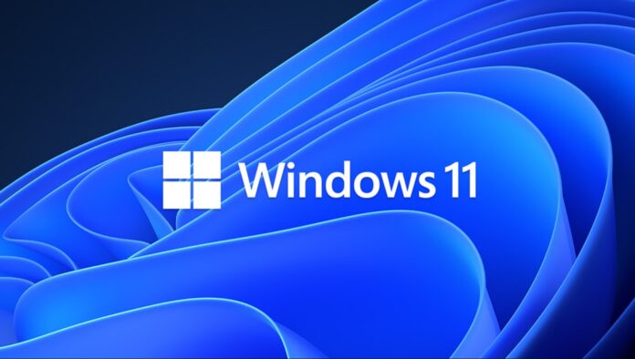 Windows 11 24H2 support document